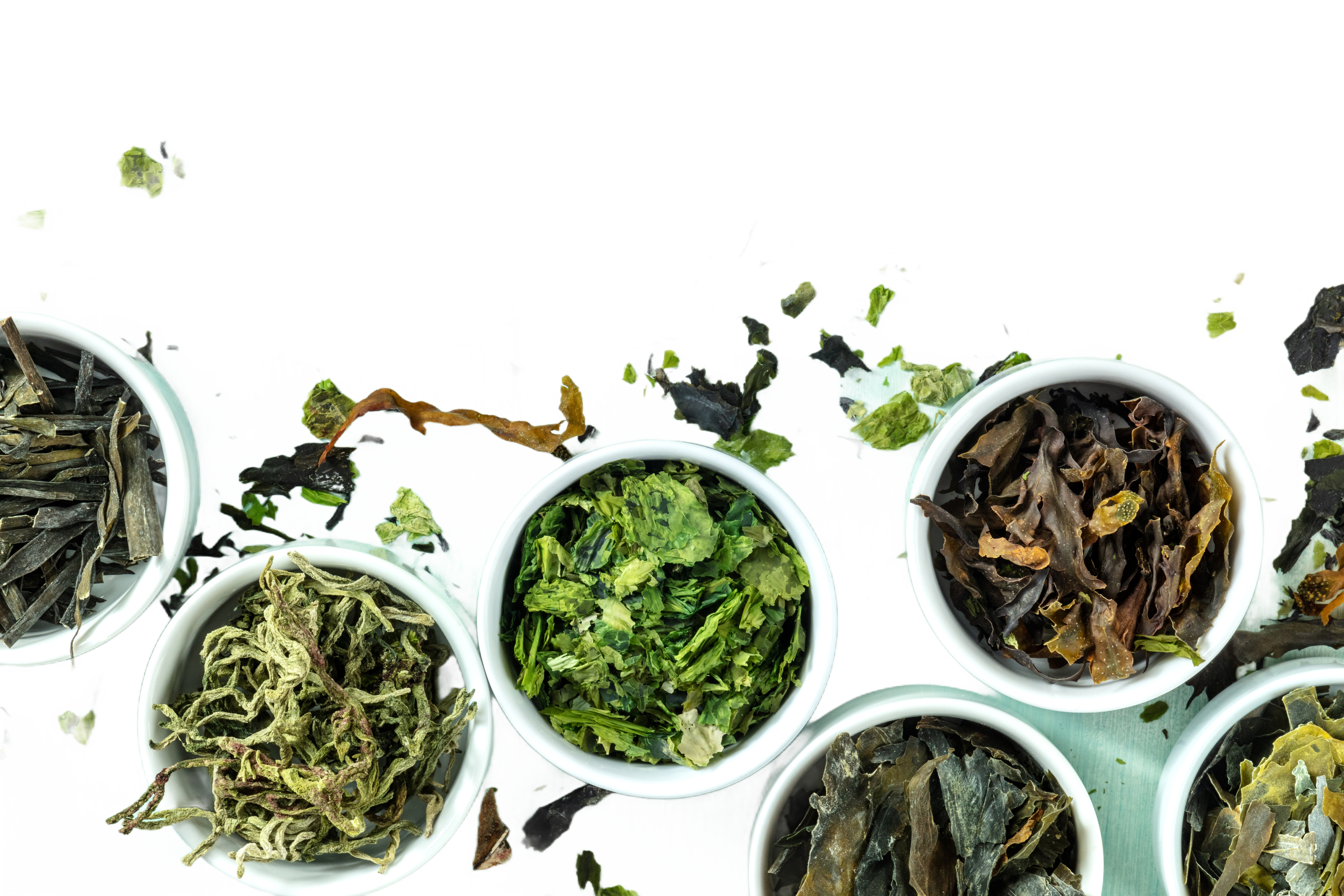 Allround Seaweed