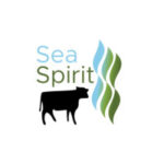 SeaSpirit Cow